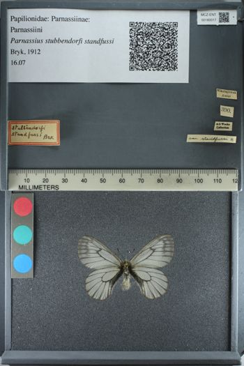 Media type: image;   Entomology 180017